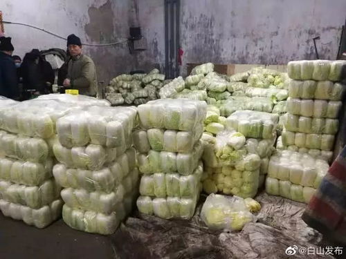 我市农副产品供应充足 保障到位 —全力守护市民“菜篮子”安全